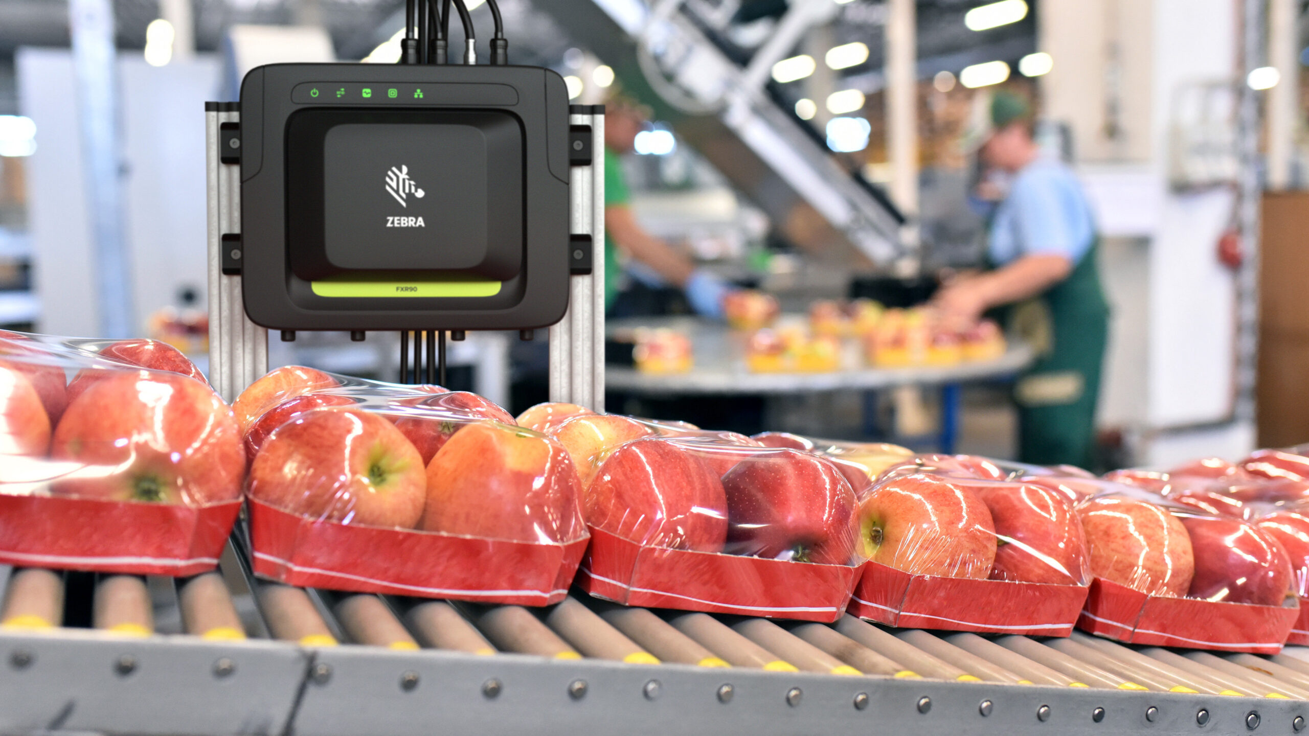 food-and-pharma-manufacturing-photography-website-food-packaging-rfid-scanner-16×9-3600.jpg.imgw.3600.3600